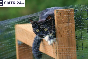 Siatki Lębork - Dobra siatka balkonowa - na ptaki i dla kota dla terenów Lęborka