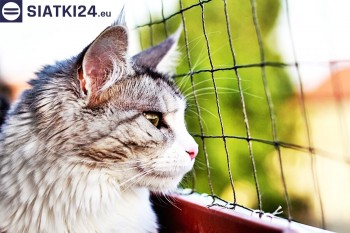 Siatki Lębork - Siatka na balkony dla kota i zabezpieczenie dzieci dla terenów Lęborka